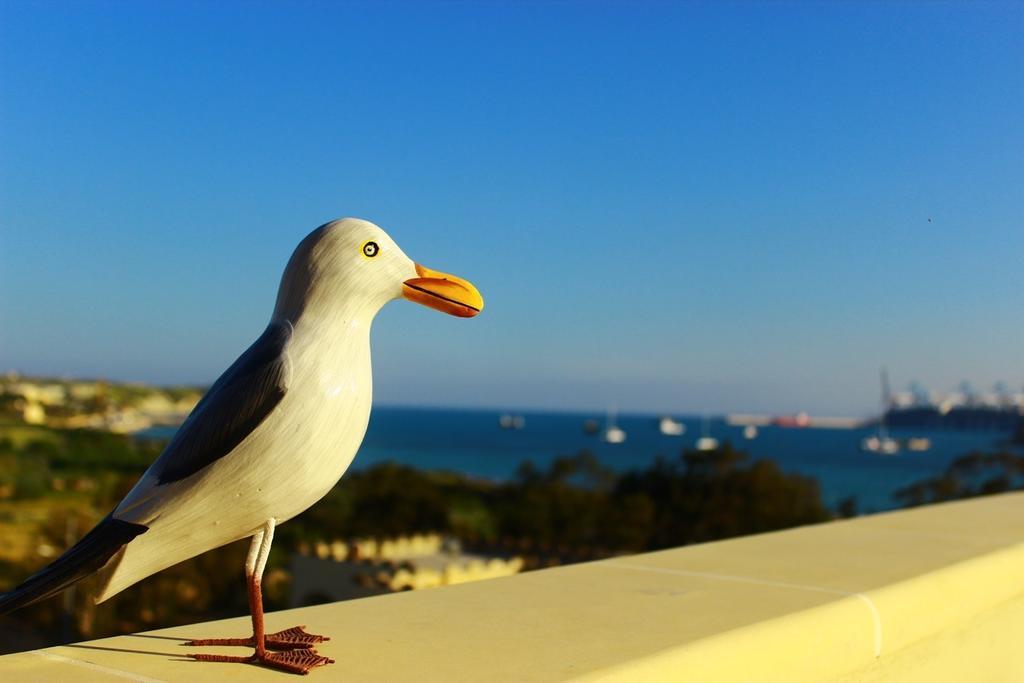 Апартаменты Seagull Penthouse Марсашлокк Экстерьер фото